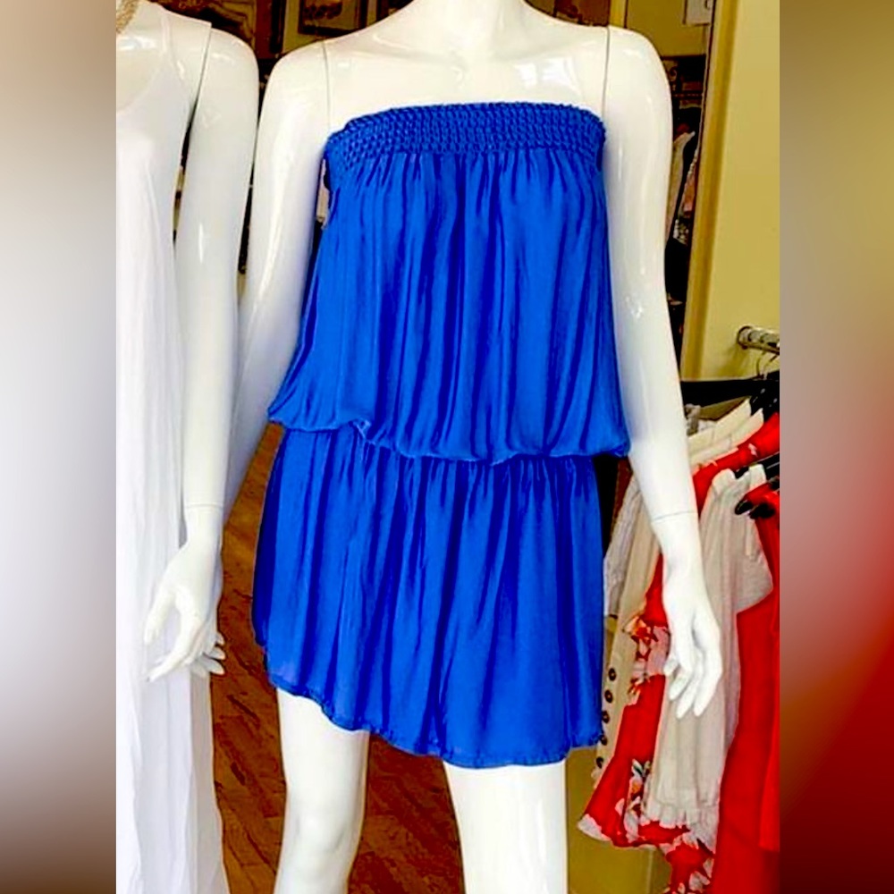 Blue Sofia Kim Tube Dress